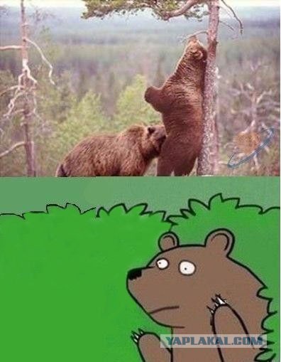 Главное - это доверие!