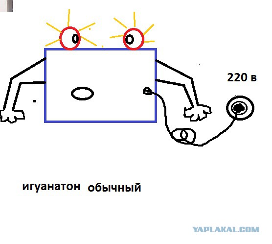 Боже какая милая и глупая
