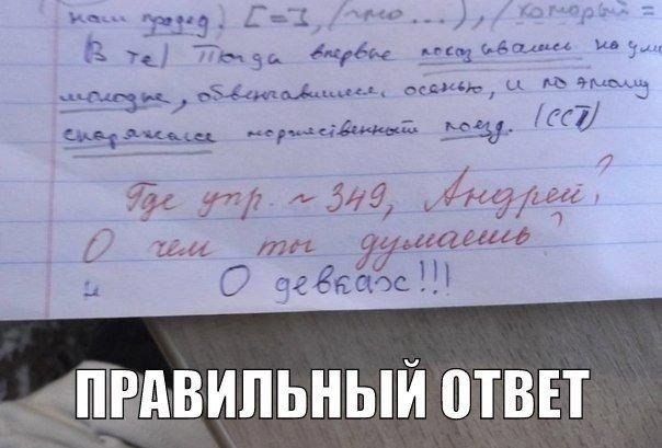 Гениальные ответы