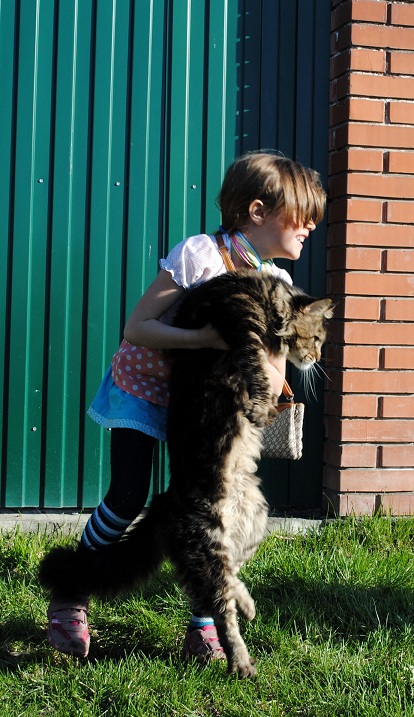 Котовторник 5.05.2015.