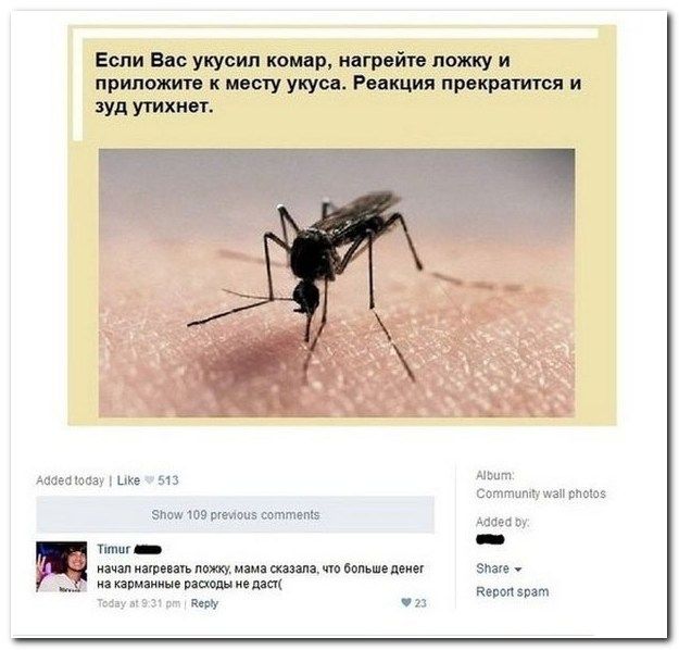 Смешные комментарии из социальных сетей