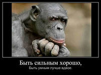 Чем больше боли в сердце...