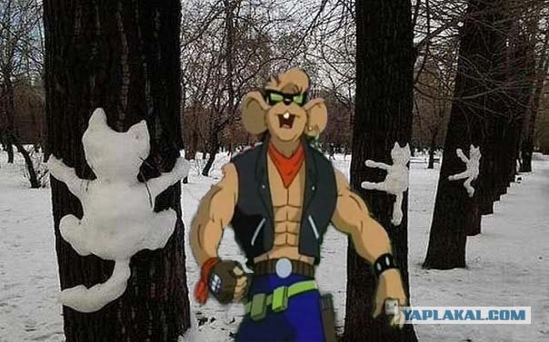 Заяц лезет на дерево