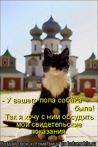 Минутка черного юмора на ЯПе