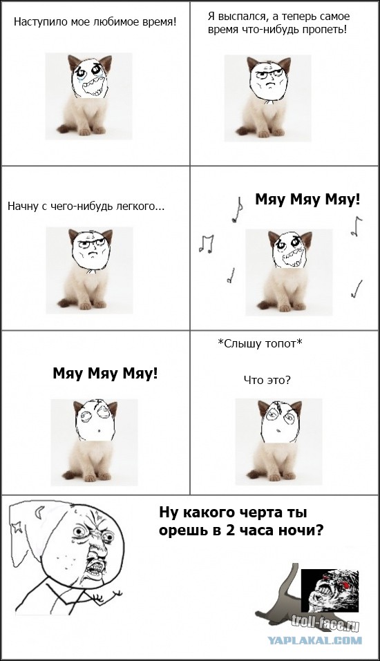 Котокомиксы