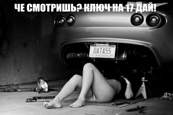 Очередные картинки на субботу