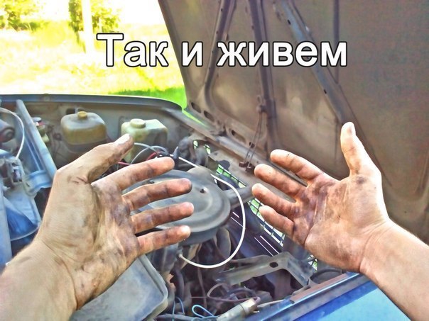 Прикольные картинки