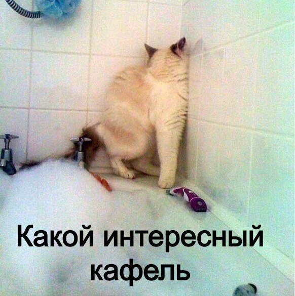 Картинки и демотиваторы