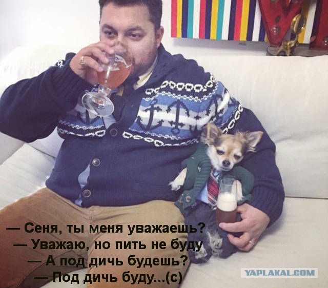 Немного картинок