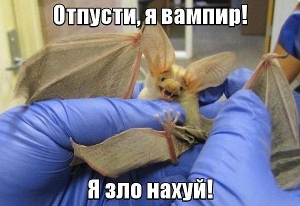 Картинки на утро вторника