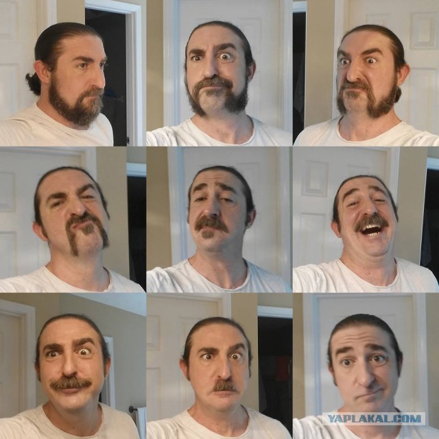 Веселые картинки