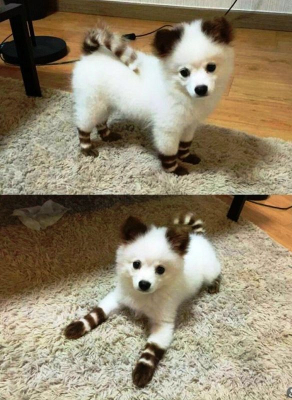 Подборка картинок 24.02.16