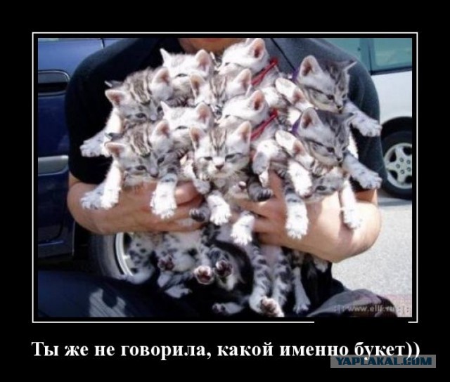 Вот все смеялись, а я подарил!