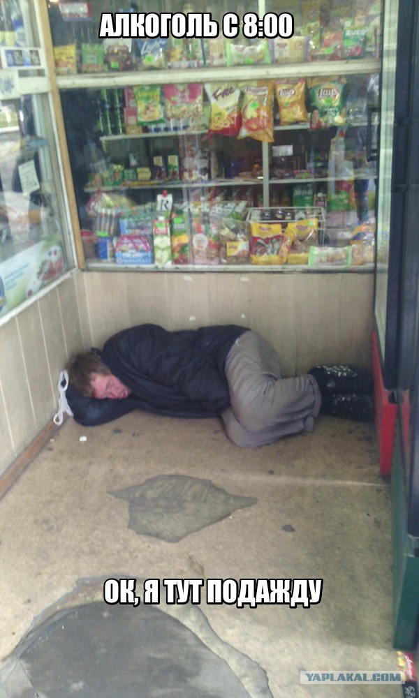 Картинки из ваших интернетов, 18+