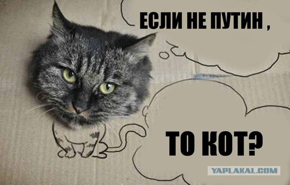 Провокация на Путина ожидается сегодня в 9 вечера