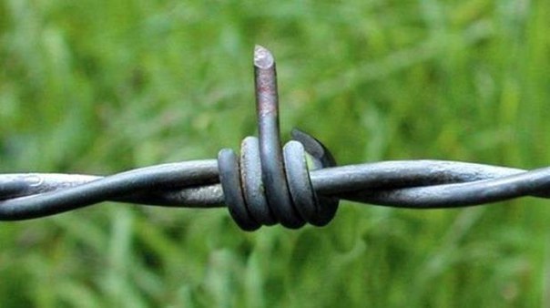 Подборка интересных и веселых фото