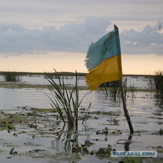 Украинская оборонка идёт в психическую атаку