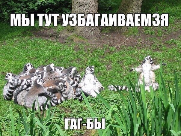 Подборка интересных и смешных картинок