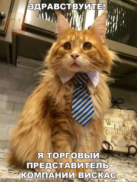Божьи твари