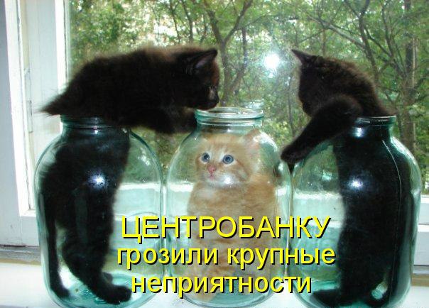 Так и живём! Картинки с надписями для позитивного настроя. Бодрого вам дня!