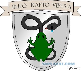 Депутат Александр Сидякин был избит после конфликта с миллионером