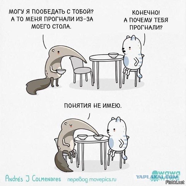 Подборка интересных и веселых картинок