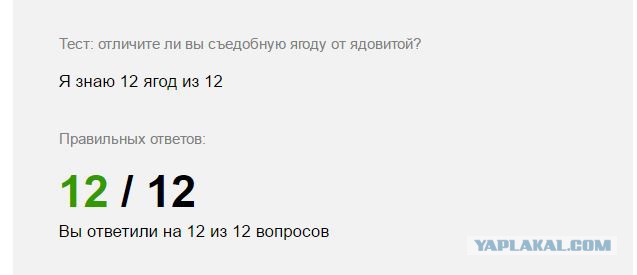 Предлагаю отвлечься и ответить на глупые вопросы в летнем тесте