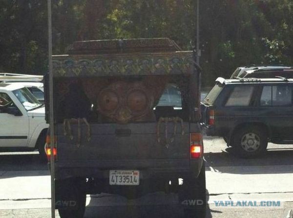 Автомото...