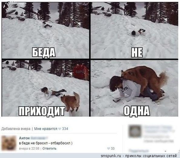 Всякое разное из интернета