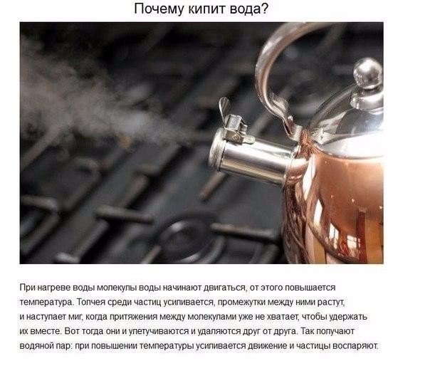 Подборка фото