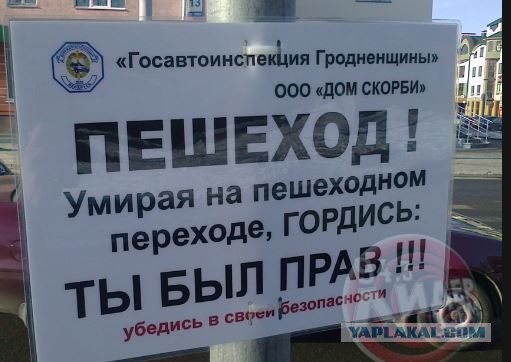 Кто виноват, пешеход или водитель?