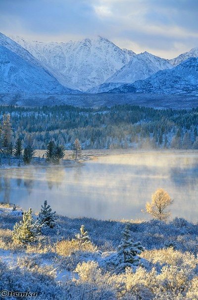 Фото интересные и не только