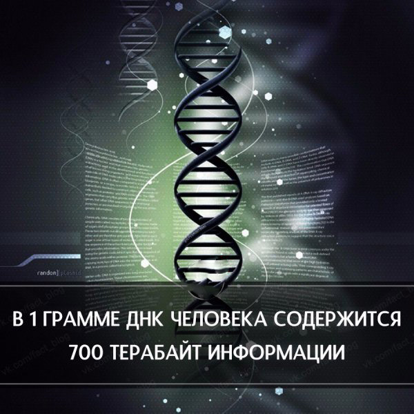 Краткие факты