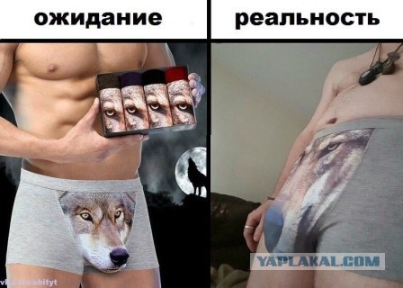 Подборка интересных и веселых картинок