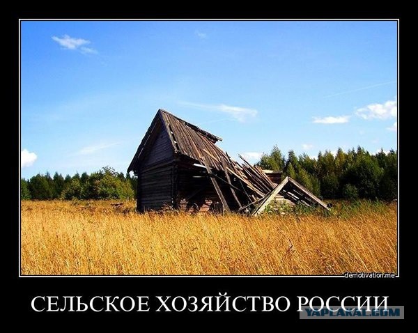 Мошенник с планшетом вымогает деньги с автомобилистов