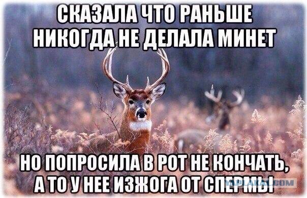 Картинки из этих, ваших, интернетов