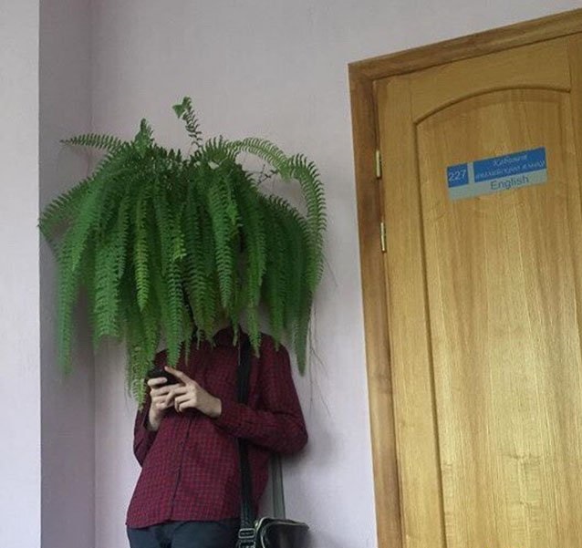 Просто солянка из картинок.