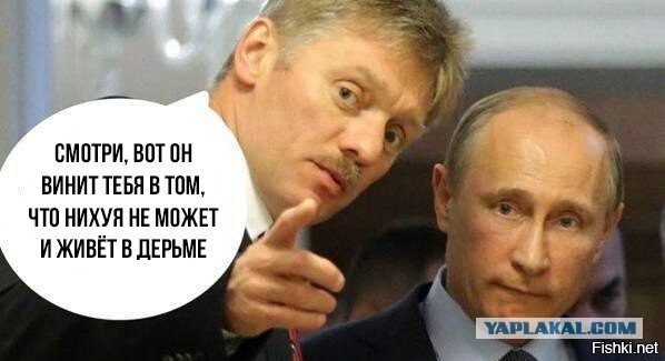 Работа не волк, но картинки сами себя не посмотрят!