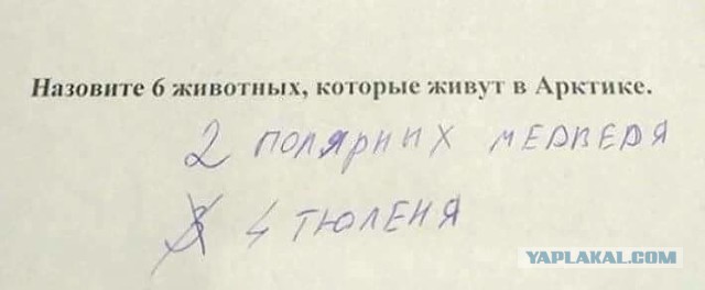Подборка интересных и веселых картинок 28.11.18