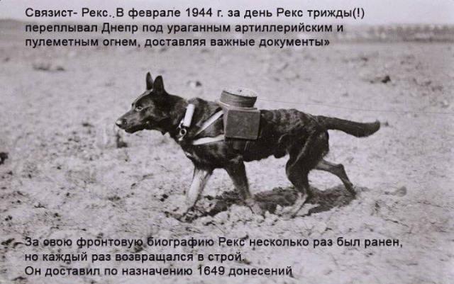 Картинки из ваших энторнетов