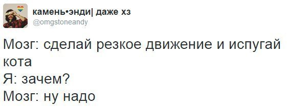 Картинки с надписями, истории и анекдоты