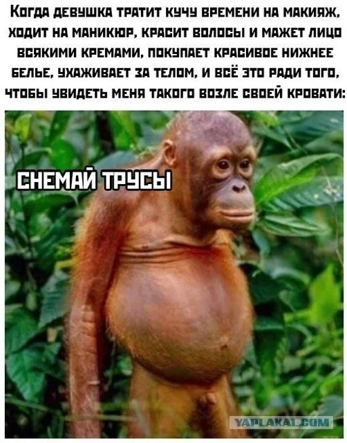Какая "логика" у женщин, считающих, что мужчина "должен" зарабатывать 100 тысяч рублей и больше