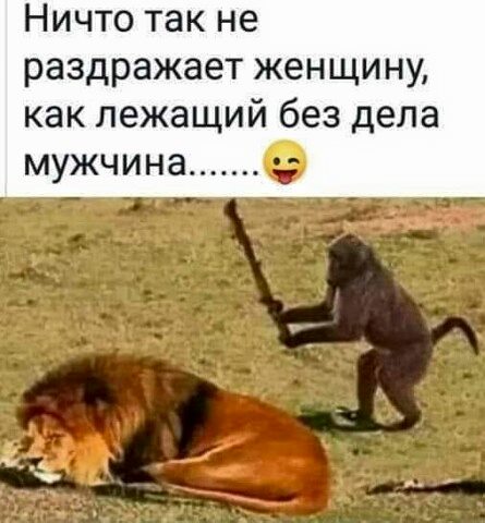 Пара-пара-пам! Фьють! 09.04.20
