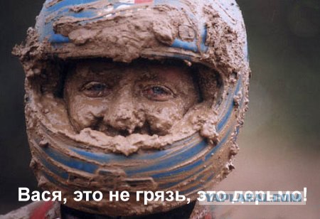 Простое человеческое счастье в картинках