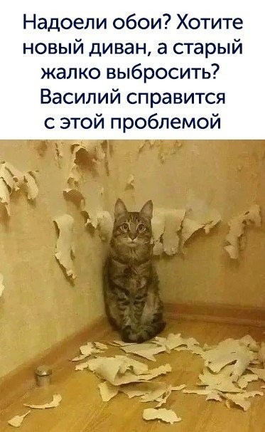 Веселые истории о нас 149