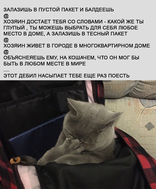 Юмор и прикольные картинки 04.12.2020