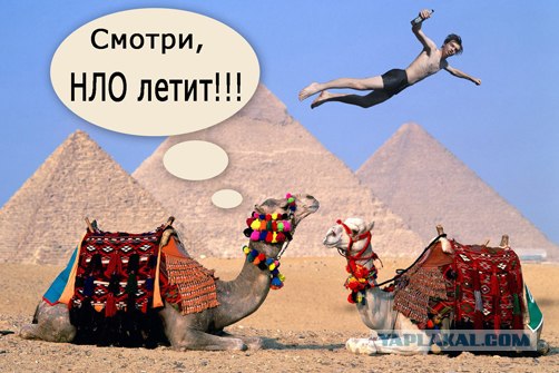 Фотожаба: Летун пивной, обыкновенный
