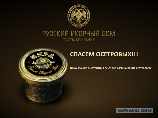 Выиграй 3кг черной икры!