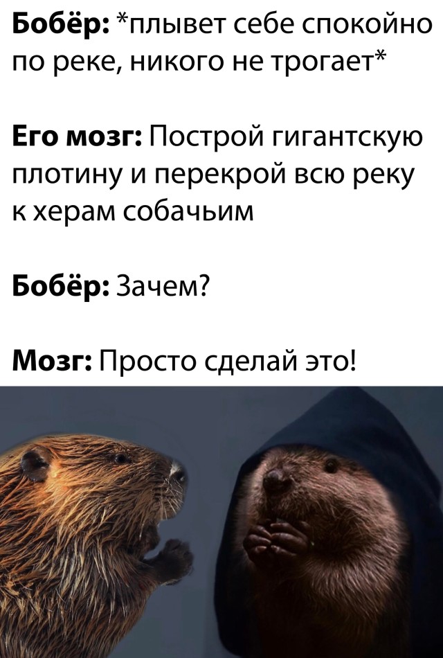 Картинки с надписями и всякие жизненные фразы 7.01.2021
