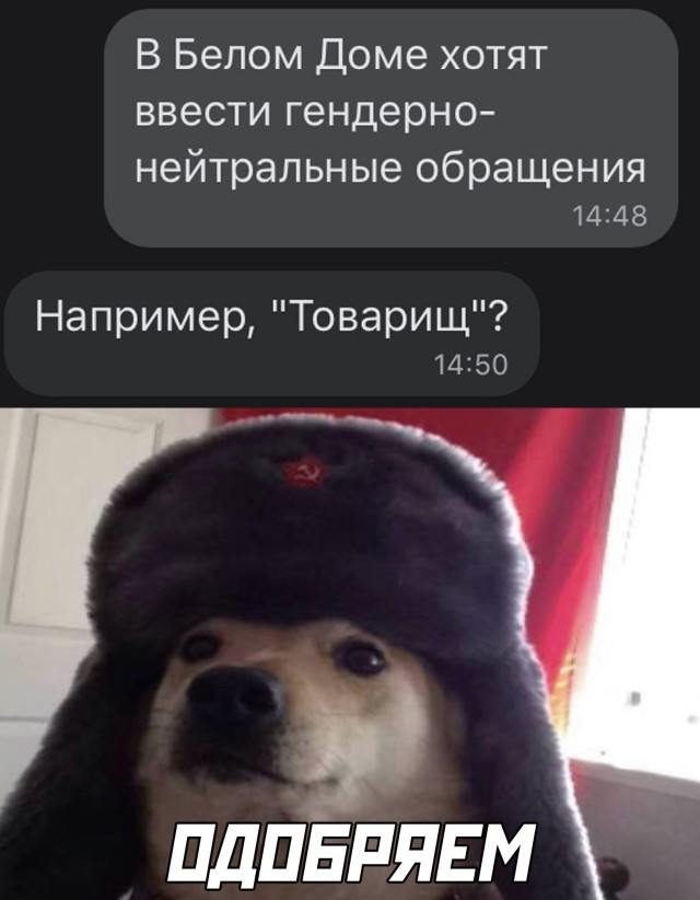 Баянисто-небаянистый юмор 21.01.21